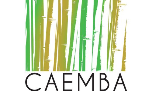 CAEMBA Logo